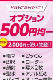 オプション500円均一！全部使っても2000円！